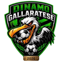 Dinamo Gallaratese